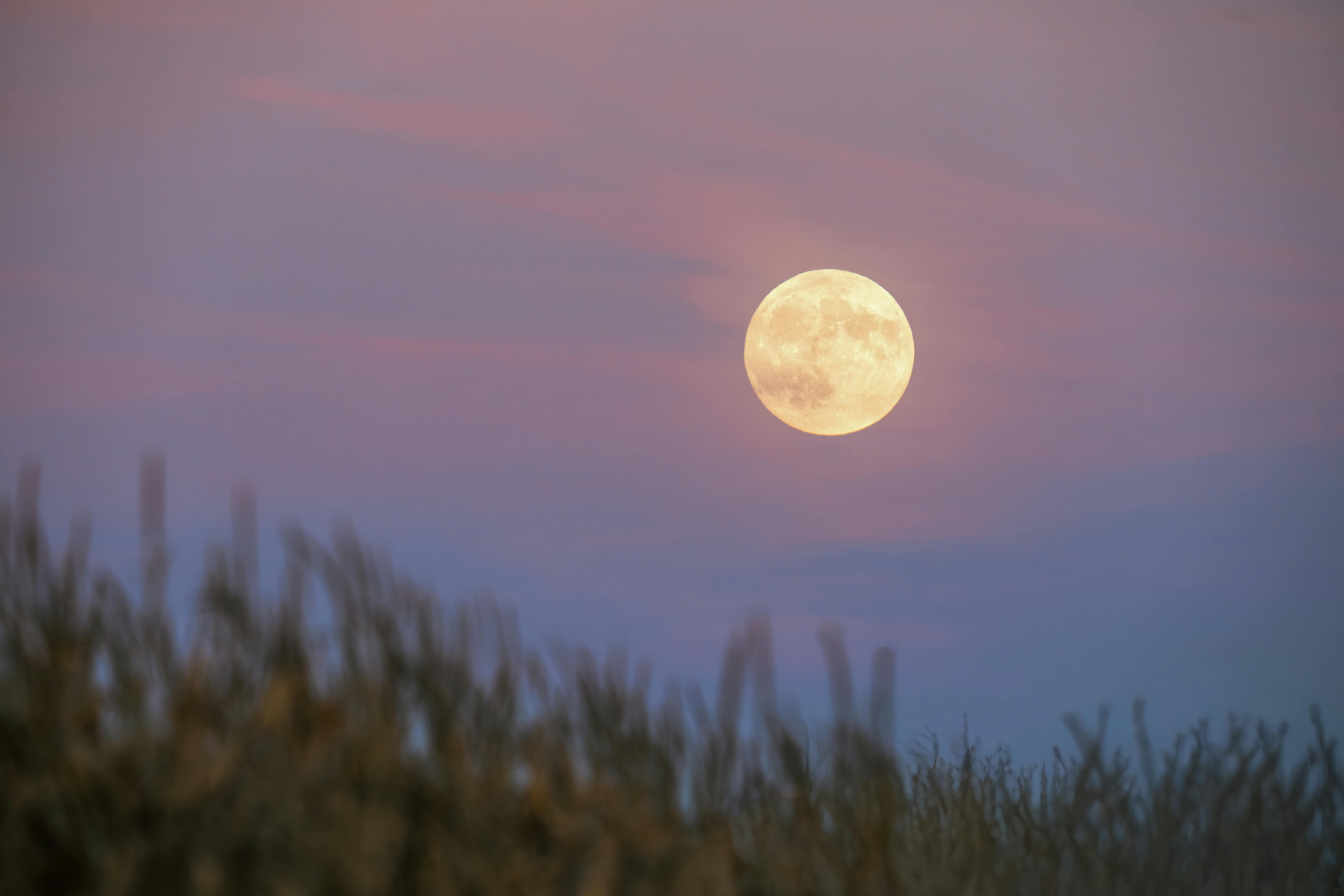 Full moon in Sept at Legends